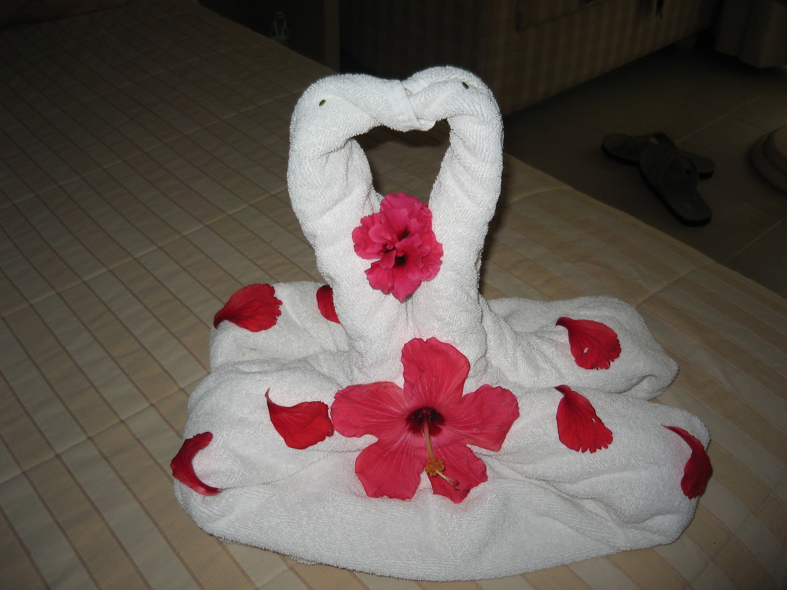 kissing swans towel origami
