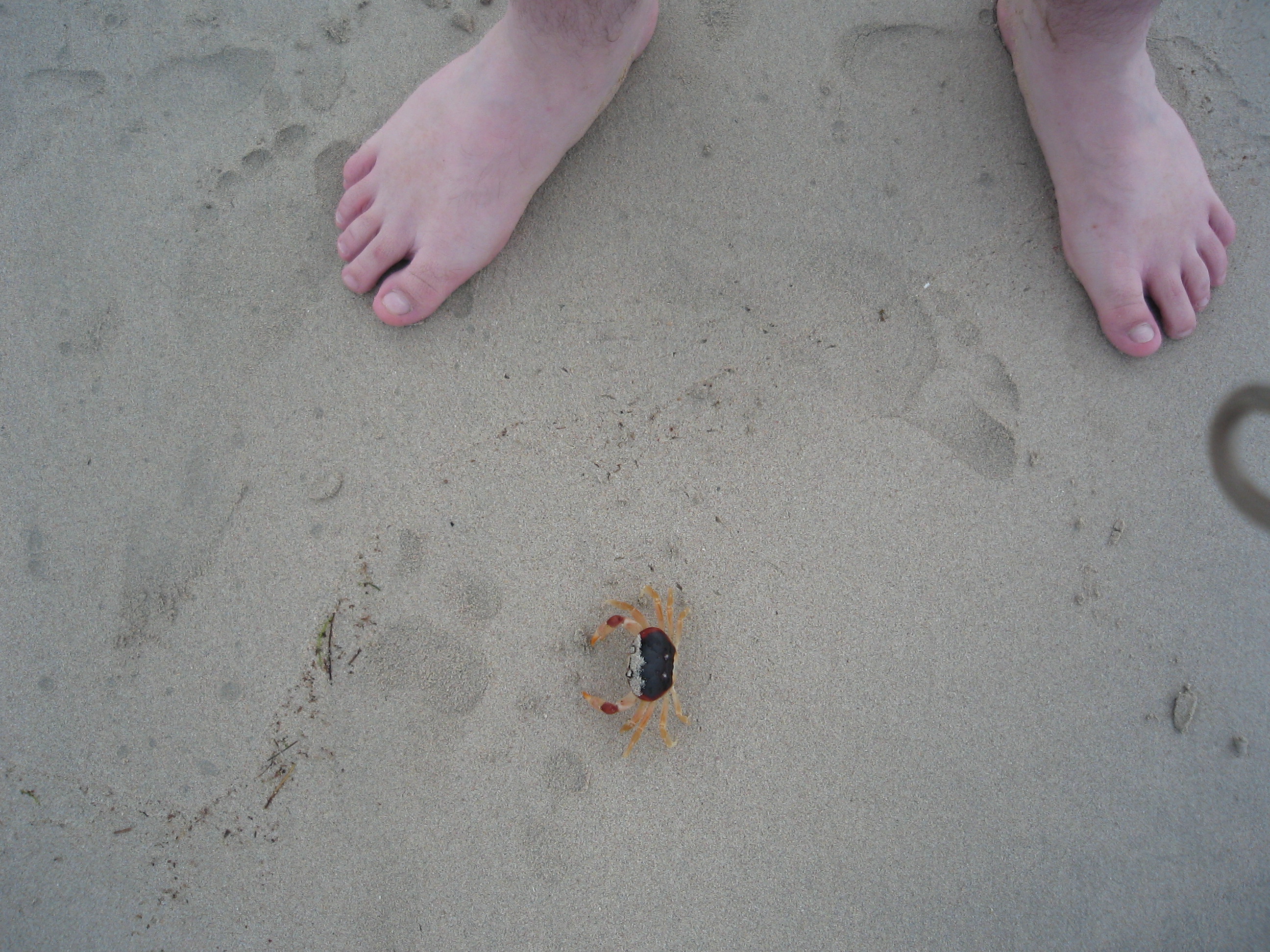 Steve on the Beach with BJ's feet